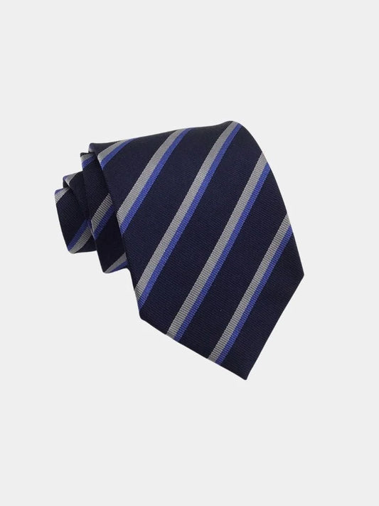 Navy Ledger Tie