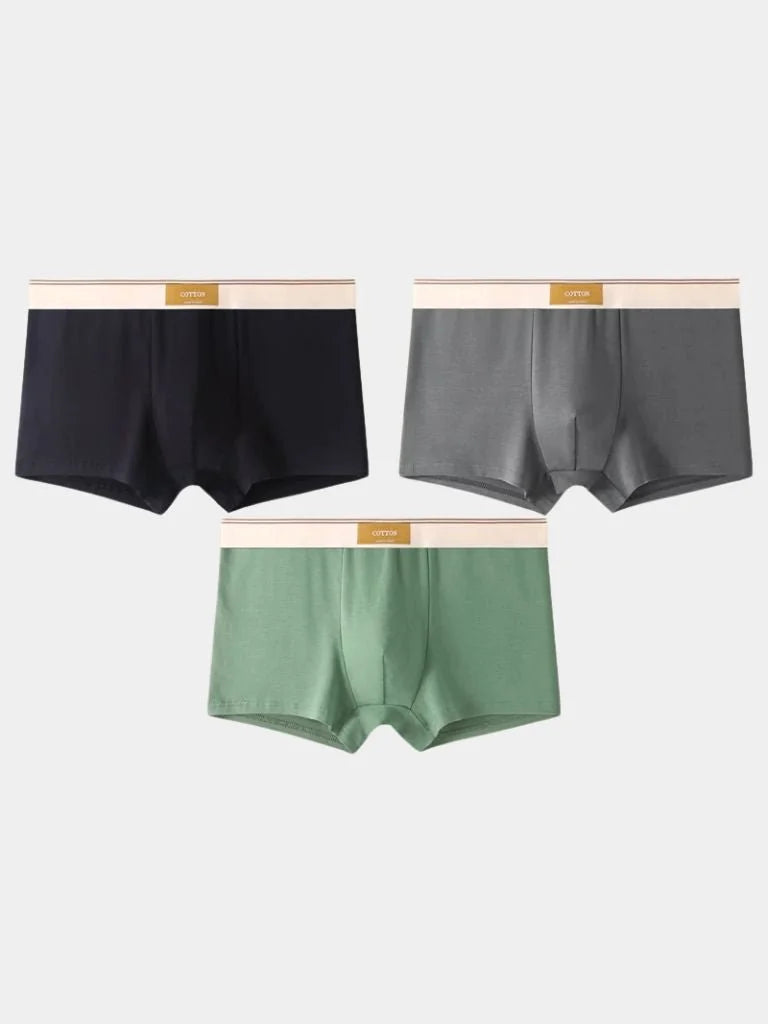 Savile Form Boxer Brief Set