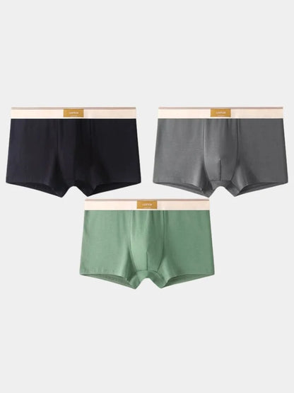 Savile Form Boxer Brief Set